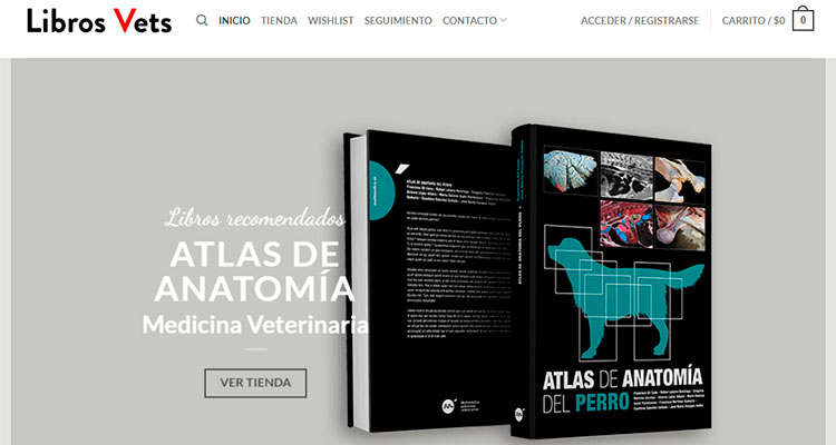 portfolio-2